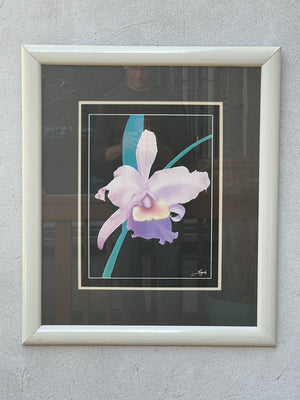 White Framed Black Matte Pink and Green Iris Wall Art, 1980s