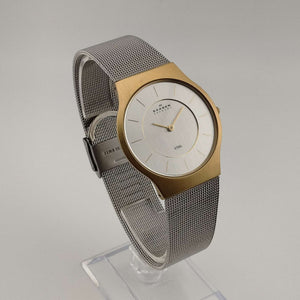 Skagen Men's Silver Tone Watch, Gold Tone Details, Adjustable Mesh Strap