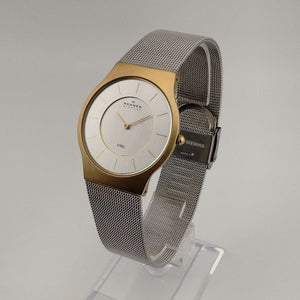 Skagen Men's Silver Tone Watch, Gold Tone Details, Adjustable Mesh Strap