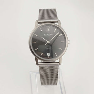 Skagen Men's Titanium Watch, Date Window, Adjustable Mesh Strap