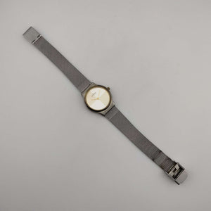 Skagen Unisex Silver and Gold Tone Watch, Circular Dial, Adjustable Mesh Strap